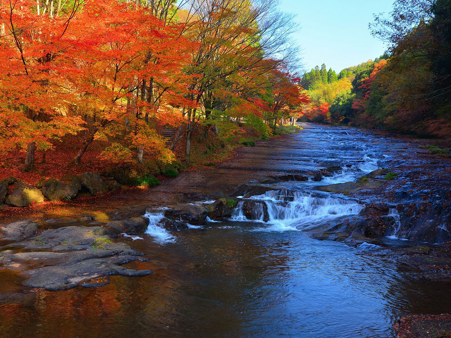 見事な紅葉が彩る滝と渓谷 ゆうすい自然の森へドライブ 熊本県小国町 トヨタ自動車のクルマ情報サイト Gazoo