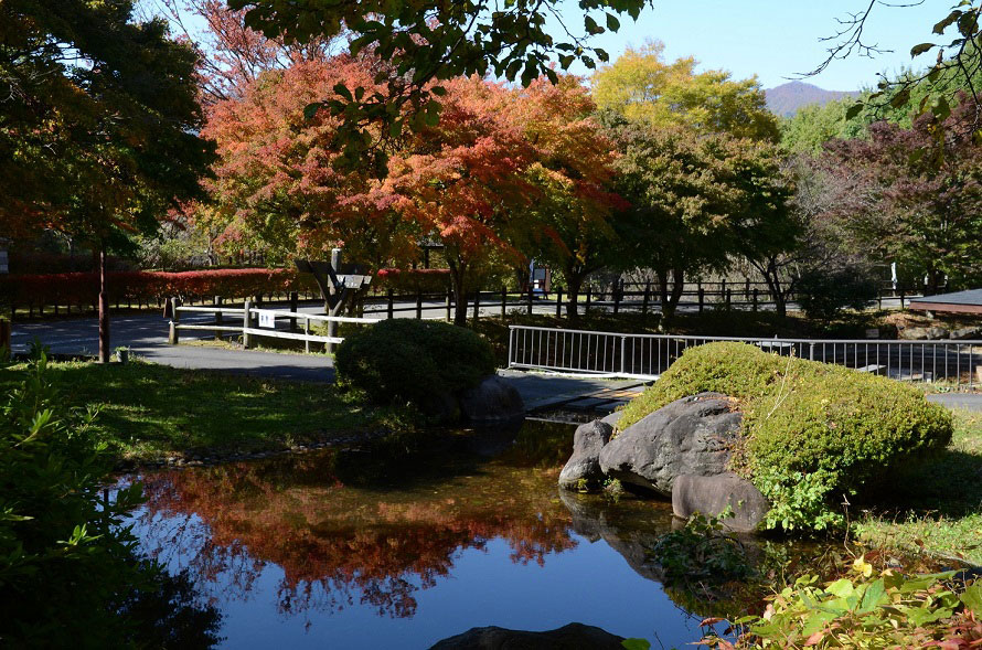 休憩所近くの徒渉池（としょういけ）周辺も紅葉が美しい。池に紅葉が映り、逆さ紅葉を見ることができる。