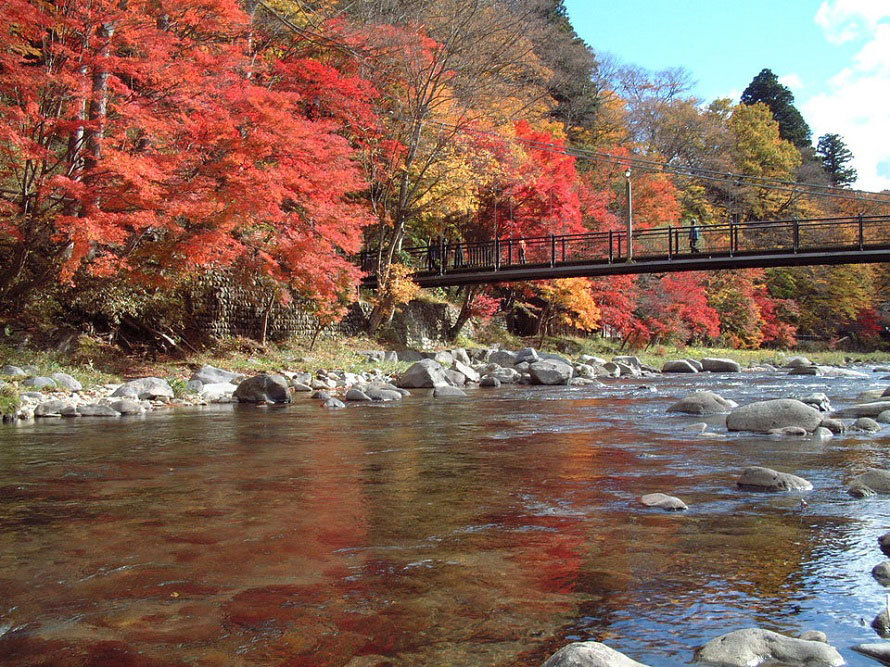 橋は塩原もの語り館から歩いて1～2分の場所にあり、紅葉の季節には多くの人が訪れる。新緑の時期もおすすめ。