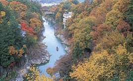 紅葉、温泉、リンゴ狩り！秋色の天龍峡へドライブ　長野県飯田市