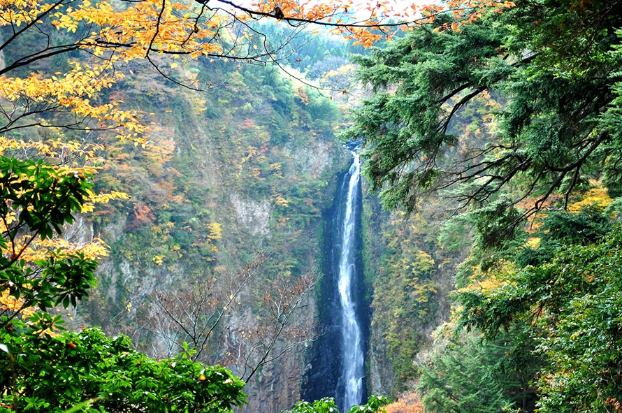 「震動の滝展望所」から見た「震動の滝・雄滝」はダイナミック。「日本の滝百選」に選ばれた絶景を楽しもう。