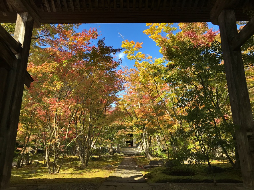日本画の一種である南画家の長井雲坪（ながいうんぺい）が、この寺に招かれ水墨画を教えたという。