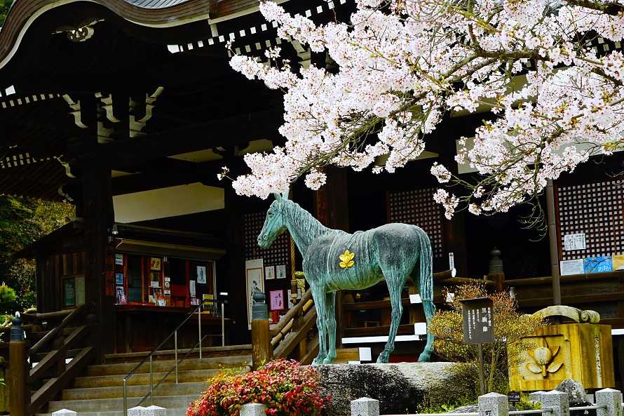 江戸時代に再建された本堂（太子殿）前の馬の像は、聖徳太子を乗せて各地を駆け巡ったと伝えられる愛馬「黒駒」。