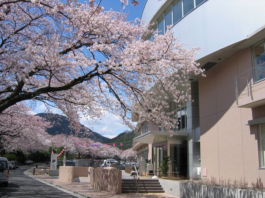「さくらの湯」の名の通り、建物の前には見事な桜の木が桜花を咲かせる。