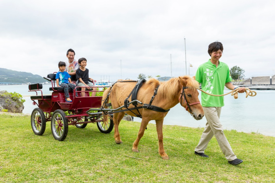 与那国馬が引く馬車に乗って海沿いの散歩を楽しめる、「ヨナグニウマ馬車」も人気。