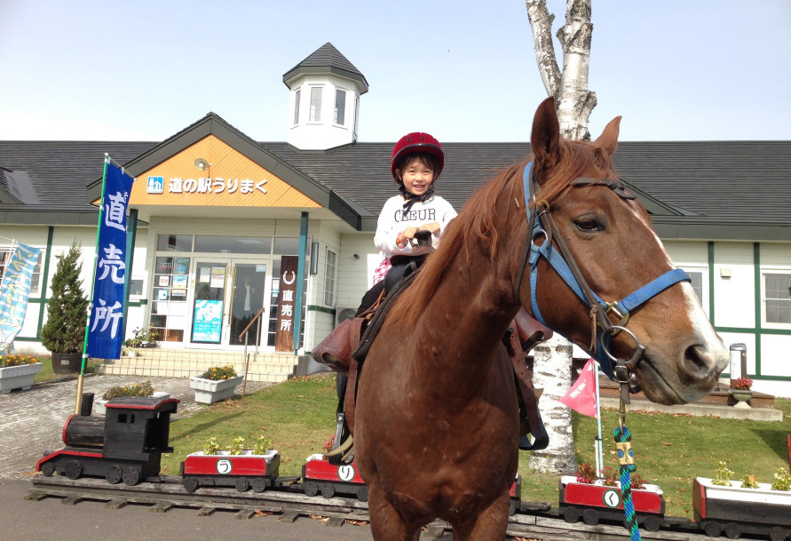 「鹿追町ライディングパーク」では、初心者でも安心して馬に乗れる。