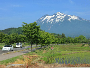 絶景ドライブルート　世界一長い桜並木がある、岩木山麓の高原道路　青森県弘前市