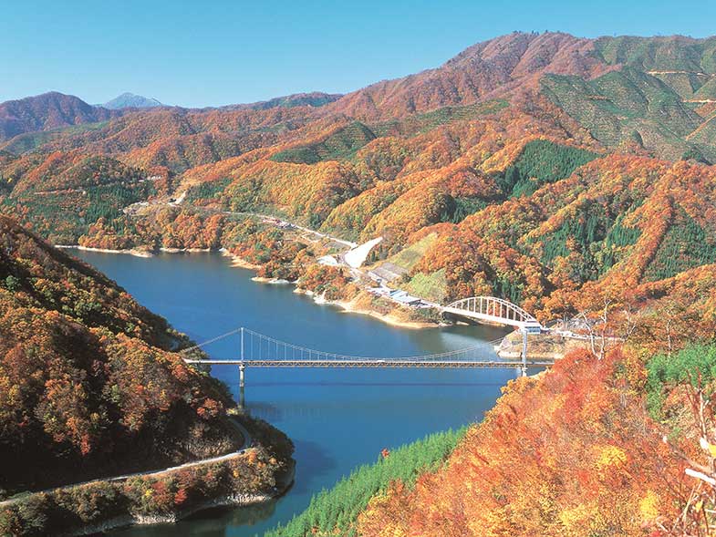 夢のかけはしを渡り 紅葉に染まる九頭竜湖沿いをドライブ 福井県大野市 トヨタ自動車のクルマ情報サイト Gazoo