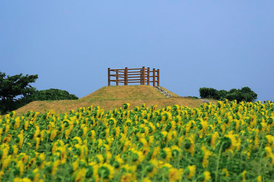 国際的アーティストであるチェ・ジョンファ氏の作品「色色色」は、段々畑の頂上に作られた花のピラミッド。辺りを見渡すのにぴったり