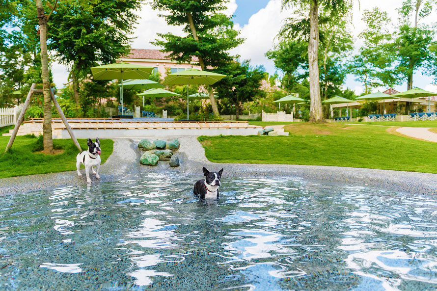愛犬とお出かけ 愛犬と家族がくつろぎ 楽しめる極上のリゾート施設 千葉県八街市 トヨタ自動車のクルマ情報サイト Gazoo
