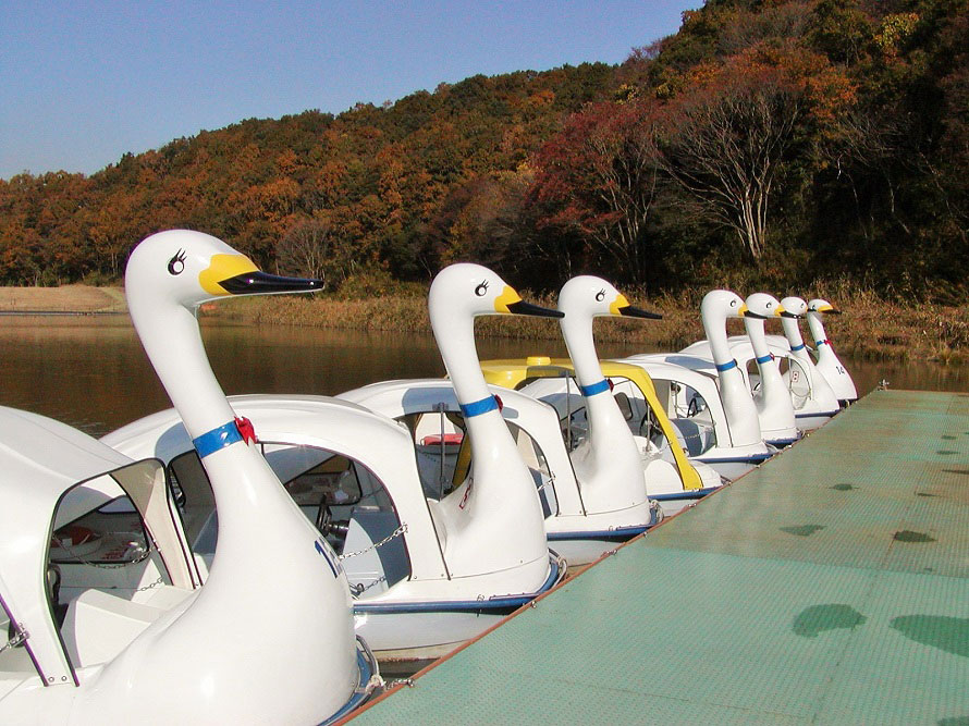 ボート池には足で漕ぐスワンボートのほか、手こぎ式のボートもある。