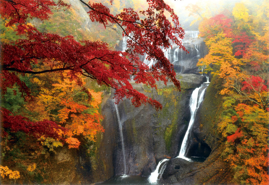 日本三名瀑のひとつ 袋田の滝の紅葉とイルミネーションを見に行こう 茨城県大子町 トヨタ自動車のクルマ情報サイト Gazoo