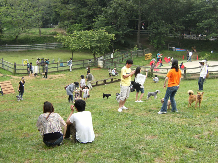 愛犬とお出かけ ドッグランで遊び トロッコで園内周遊もできる 千葉県成田市 トヨタ自動車のクルマ情報サイト Gazoo