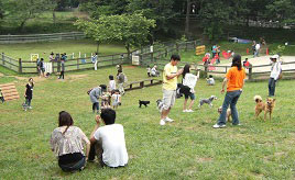 愛犬とお出かけ！ドッグランで遊び、トロッコで園内周遊もできる　千葉県成田市