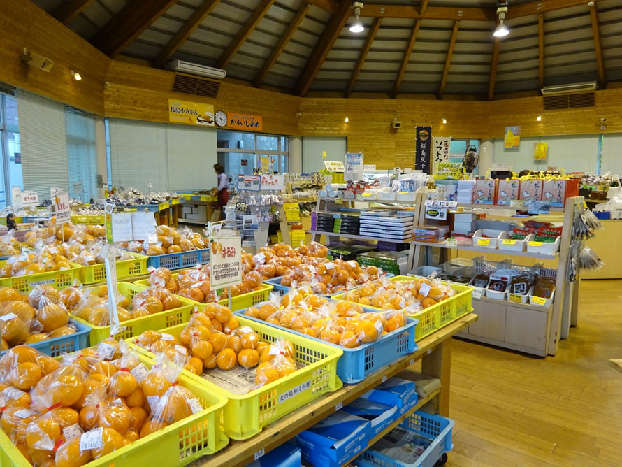 桜島を代表する特産品が柑橘類。「桜島小みかん」は12月上旬から、「はるみ」は1月下旬から、「不知火（デコポン）」は2月下旬（予定）から出荷される。