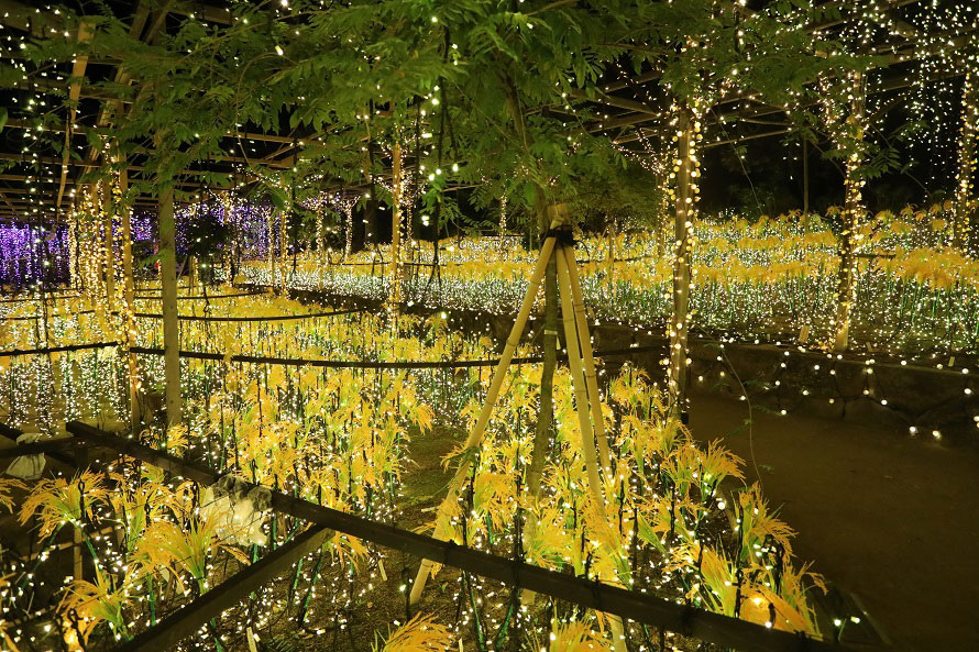 1万球のイルミネーションで光輝く庭園 由志園 のニューイヤーイルミネーションへ行こう 島根県松江市 トヨタ自動車のクルマ情報サイト Gazoo