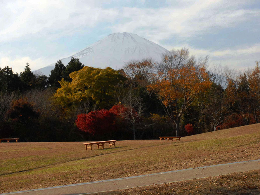敷地内から望む富士山。富士山を眺めながら気分転換にのびのび体を動かしてはいかが？
