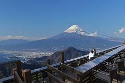 ロープウェイで空中散歩！富士山と駿河湾を一望する天空のテラス　静岡県伊豆の国市