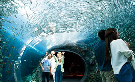 2018年6月にオープン！日本海に面した絶景の水族館へドライブ　新潟県上越市