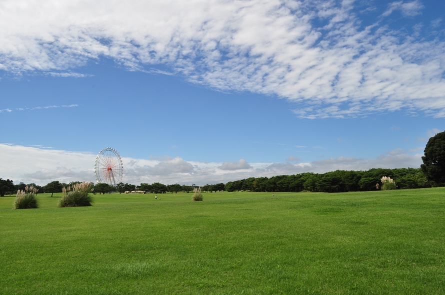 「草原エリア」の「大草原」では、ボール遊びをしたり、ピクニックをしたりと、思いきり遊ぶことができる。面積が約9haもあるので開放感は抜群。