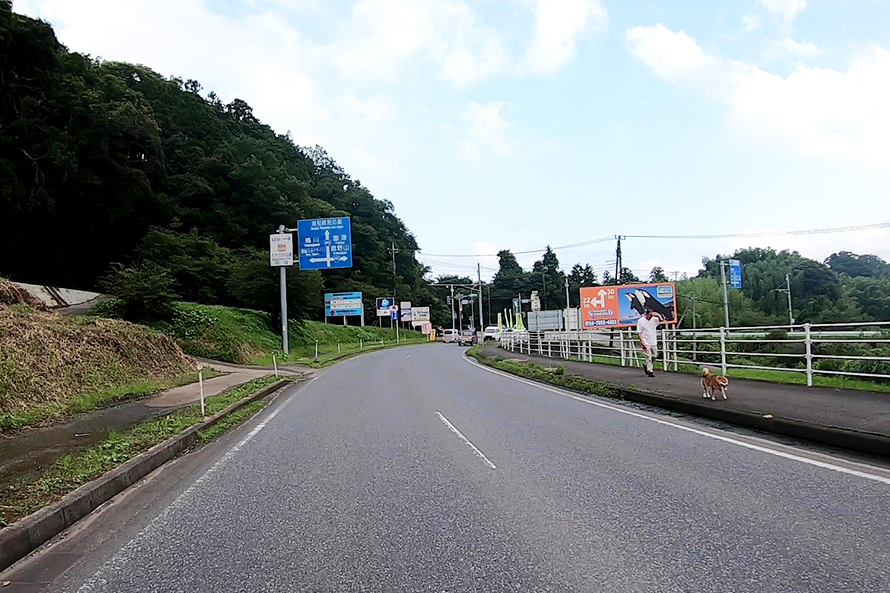 県道92号をこの東粟倉交差点で鴨川方面へと左折する。周囲はのどかな里山の風景。